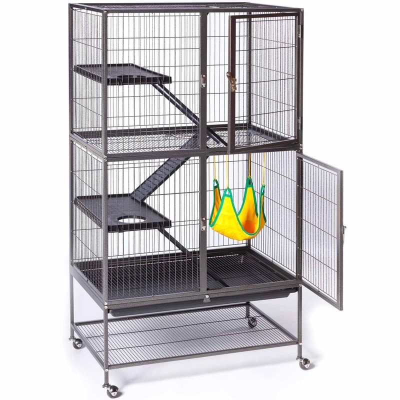 perfect rat cage